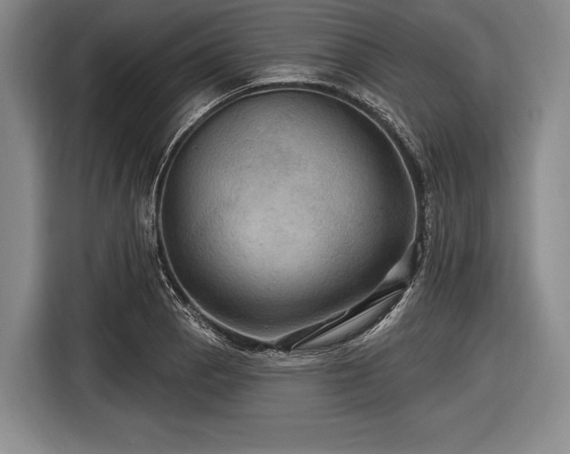 X0000116491129200912161313