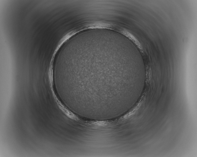 X0000116491130200912161313