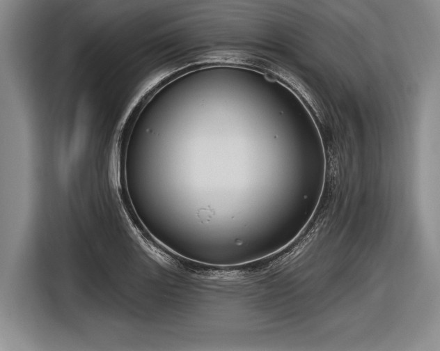 X0000116491131200912161313