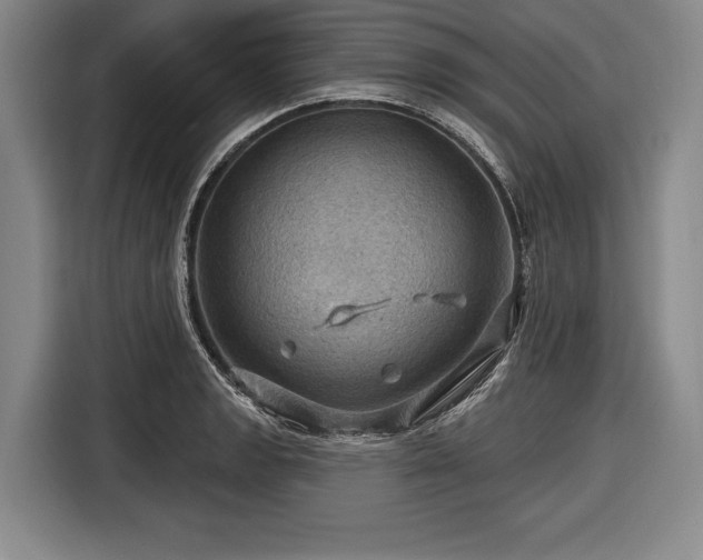 X0000116491133200912161313