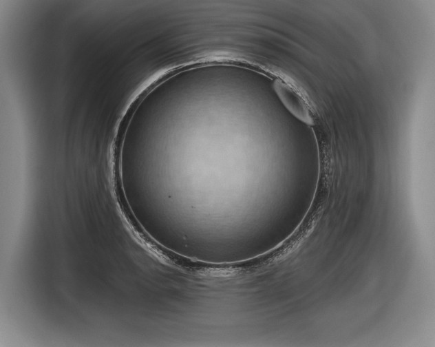 X0000116491134200912161313