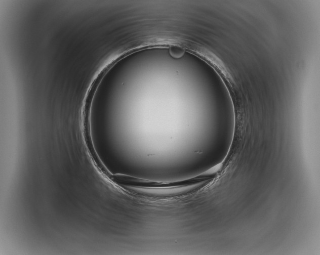 X0000116491135200912161313