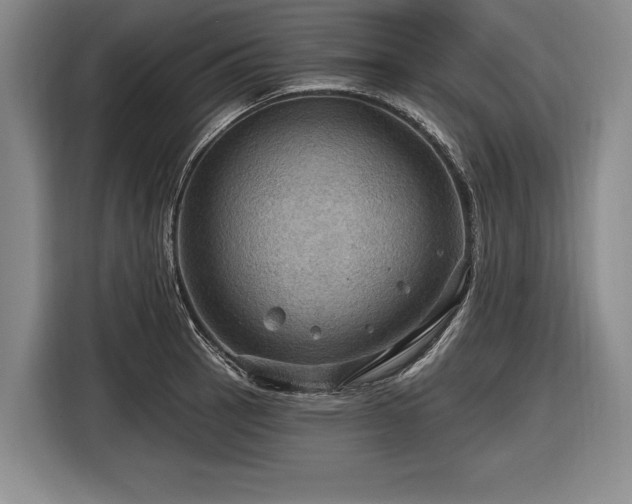 X0000116491137200912161313