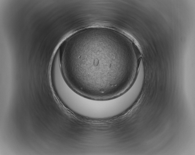 X0000116491138200912161313