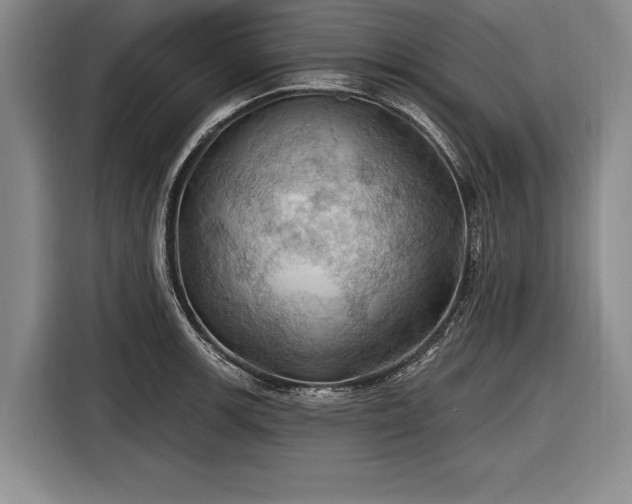 X0000116491139200912161313