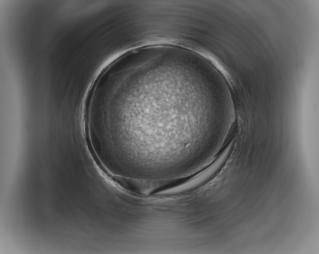 X0000116491143200912161313