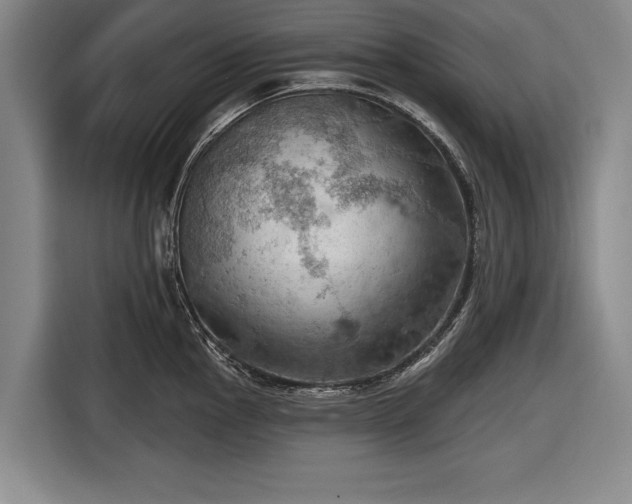 X0000116491145200912161313