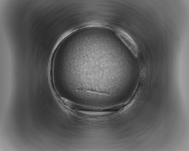 X0000116491146200912161313