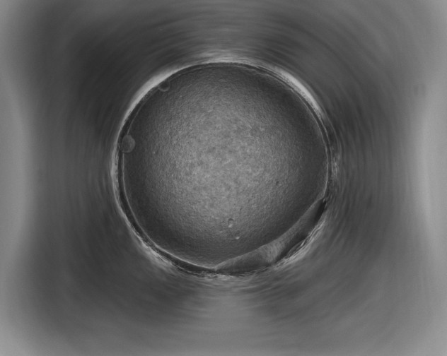 X0000116491149200912161313