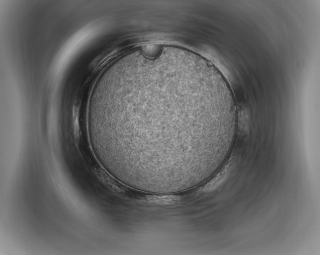 X0000116491150200912161313