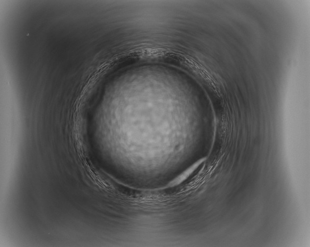 X0000116491153200912161313