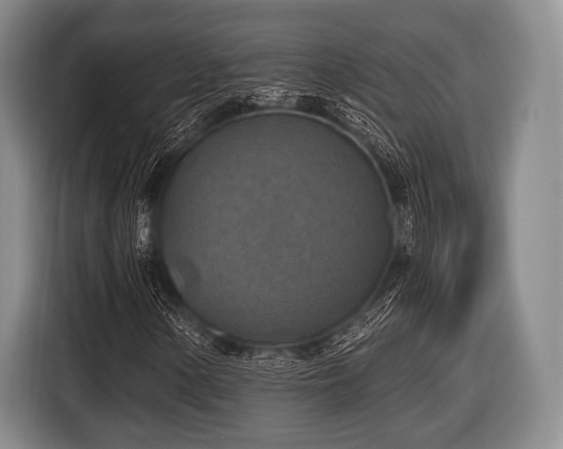 X0000116491154200912161313