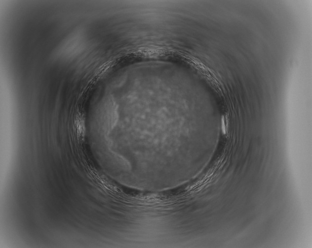 X0000116491155200912161313