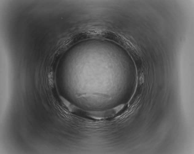 X0000116491156200912161313