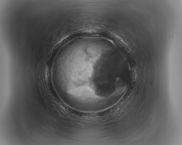 X0000116491158200912161313