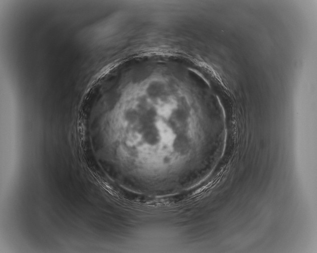 X0000116491159200912161313