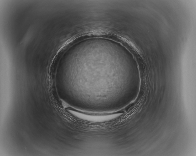 X0000116491160200912161313