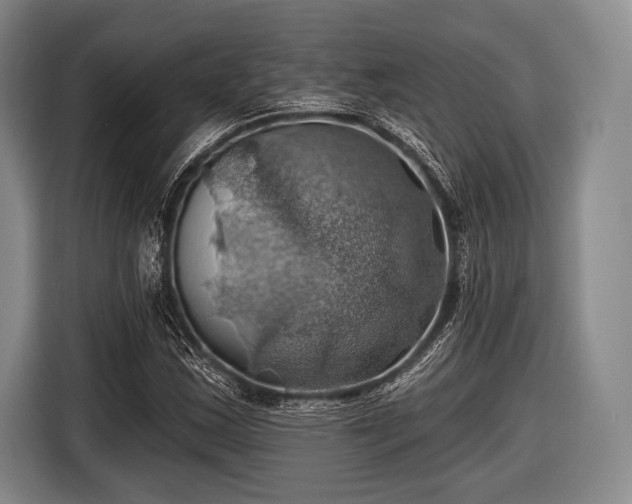 X0000116491163200912161313