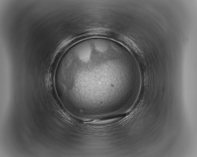 X0000116491164200912161313