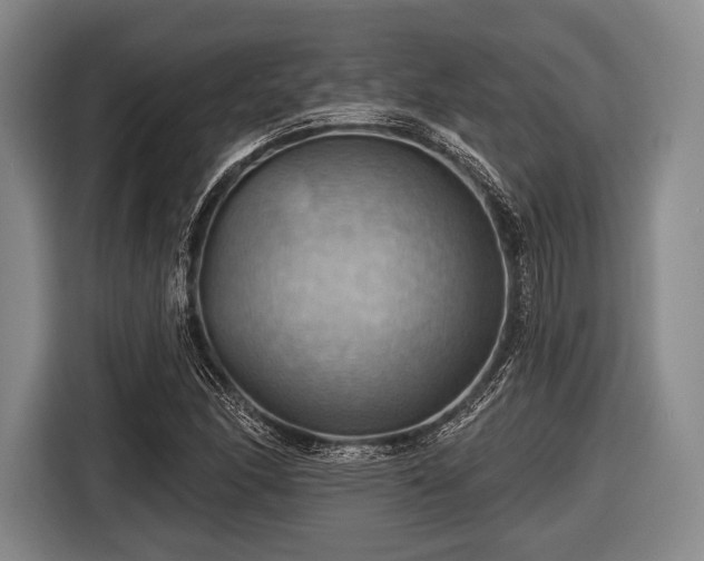 X0000116491166200912161313