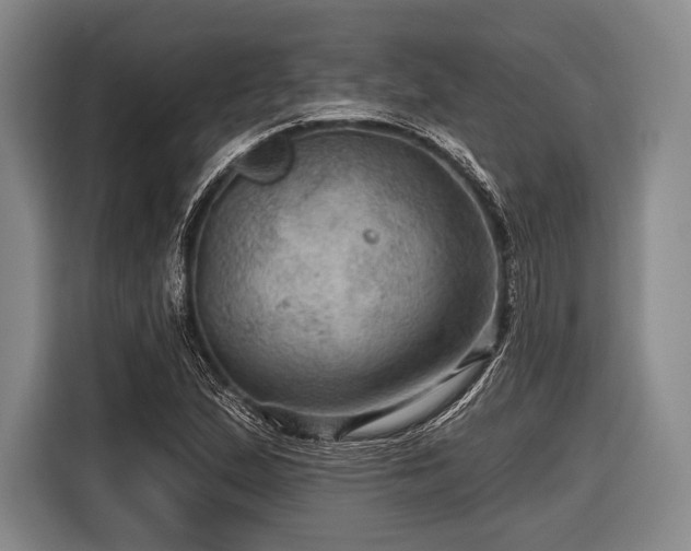 X0000116491167200912161313