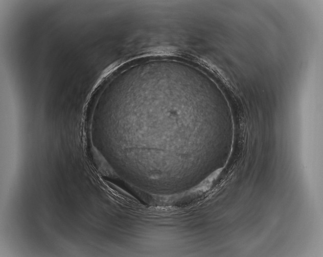 X0000116491168200912161313