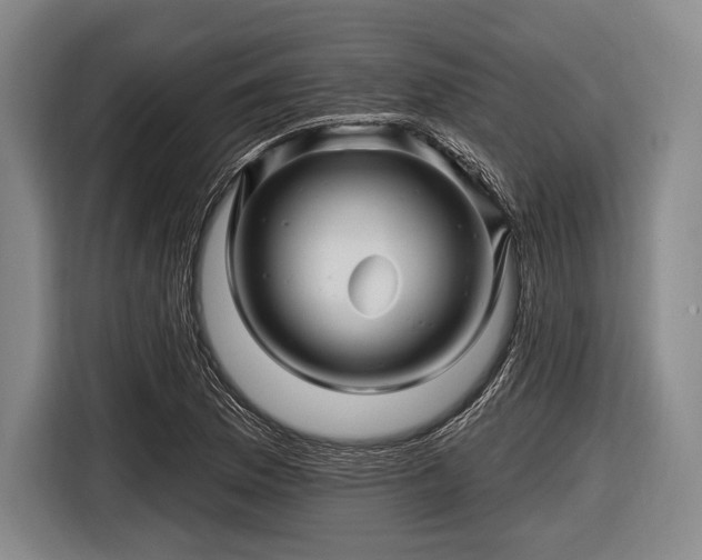 X0000116491169200912161313