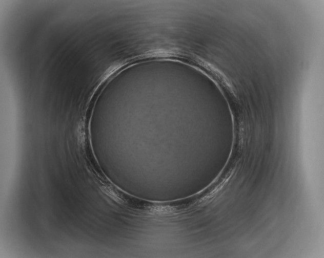 X0000116491170200912161313