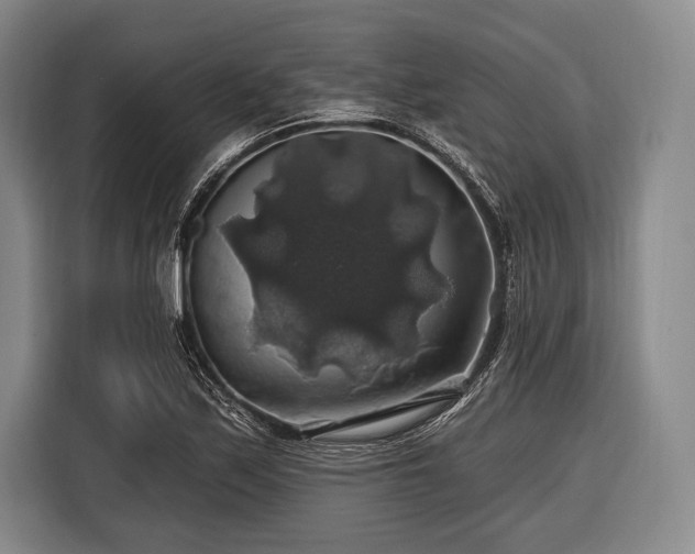 X0000116491171200912161313