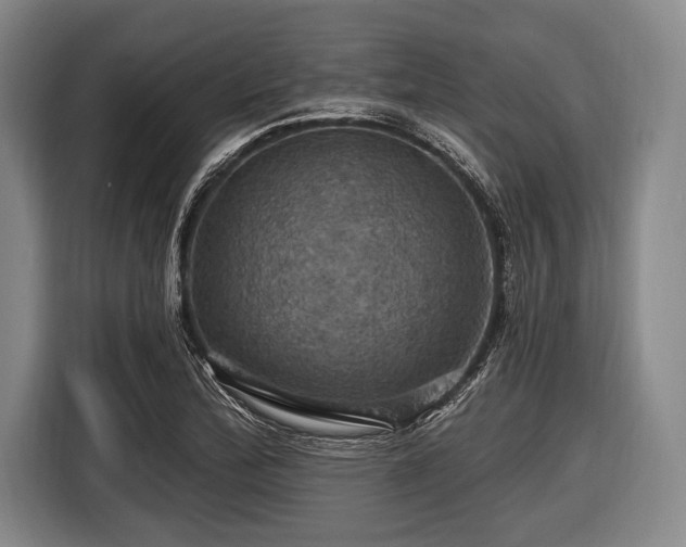 X0000116491172200912161313