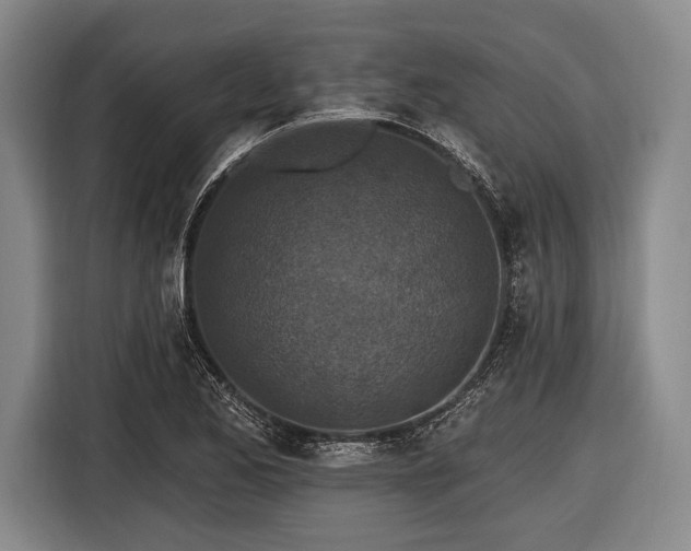 X0000116491173200912161313