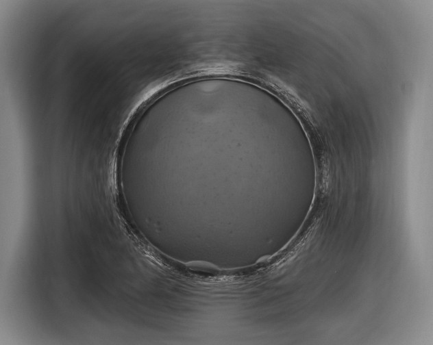 X0000116491174200912161312