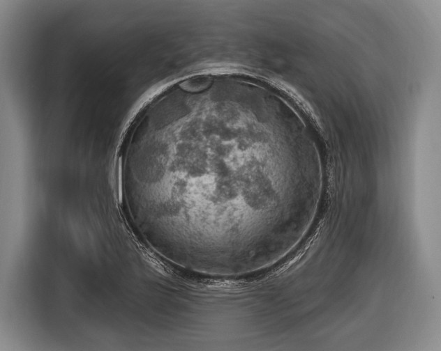 X0000116491175200912161312