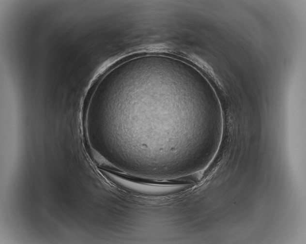 X0000116491176200912161312