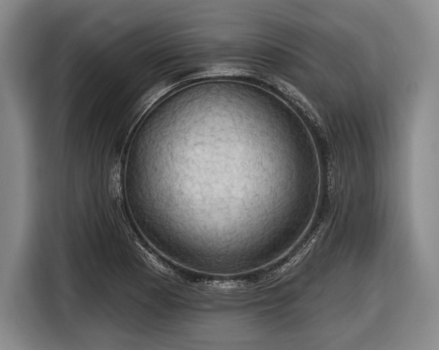 X0000116491177200912161312