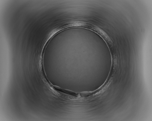 X0000116491178200912161312