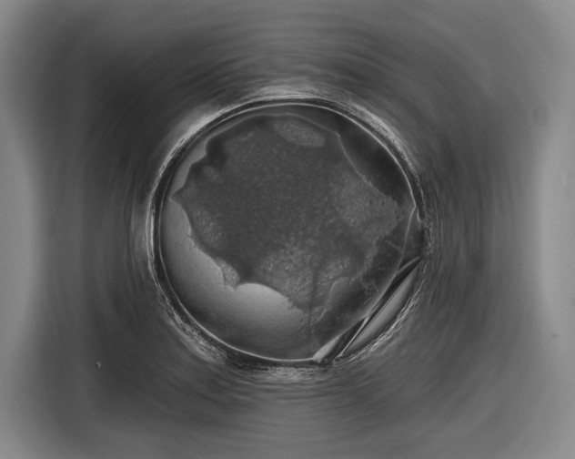 X0000116491179200912161312