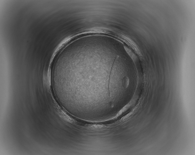 X0000116491180200912161312