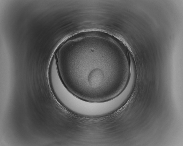 X0000116491181200912161312