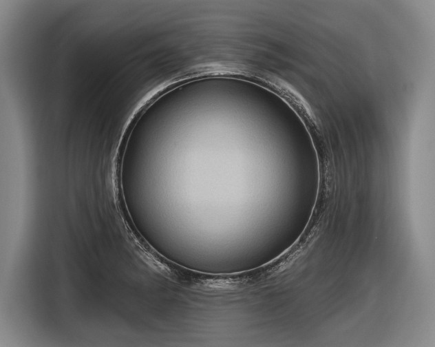 X0000116491182200912161312