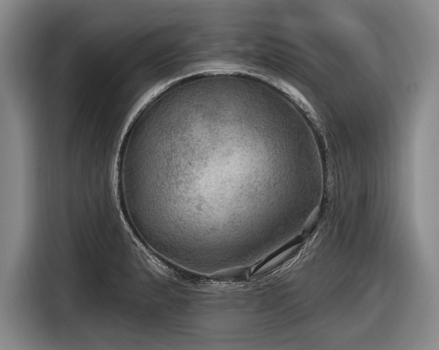 X0000116491183200912161312