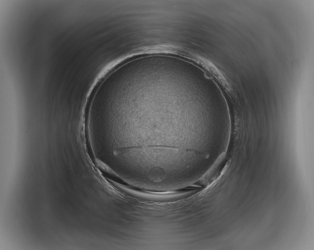 X0000116491184200912161312