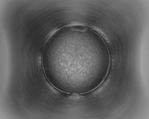 X0000116491185200912161312