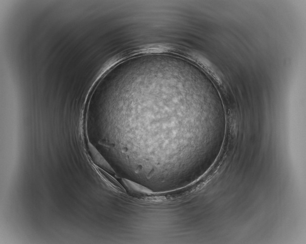 X0000116491186200912161312