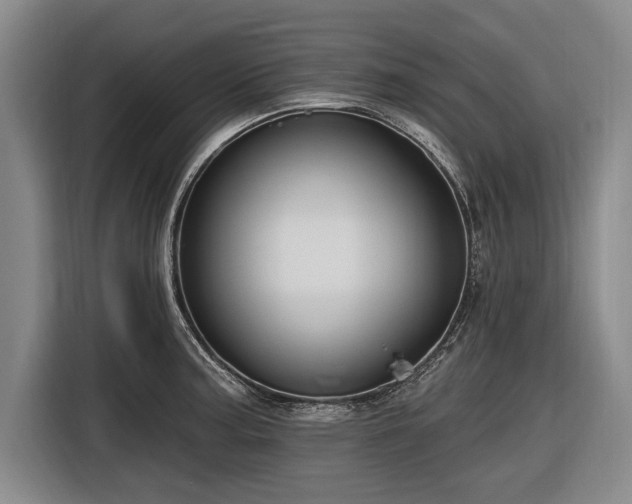 X0000116491187200912161312