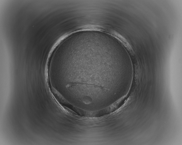 X0000116491188200912161312