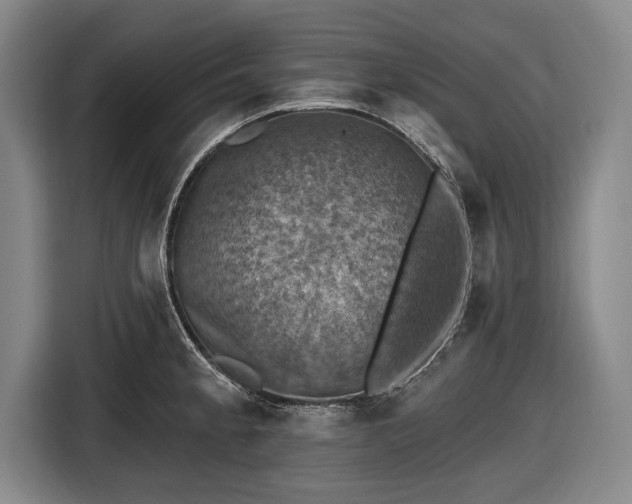 X0000116491189200912161312