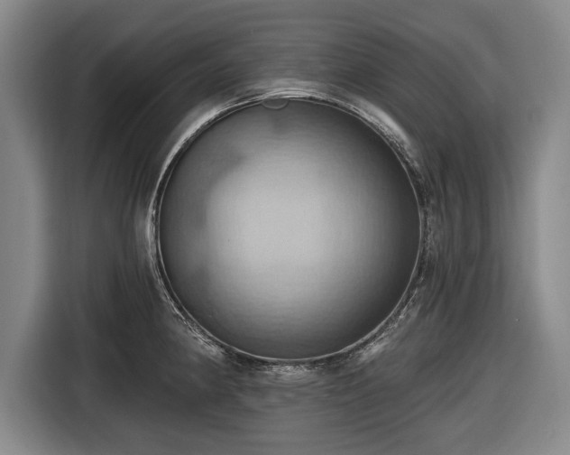 X0000116491190200912161312