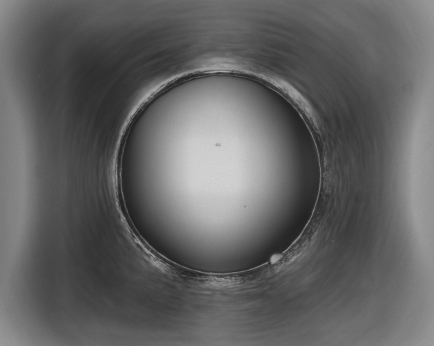 X0000116491191200912161312