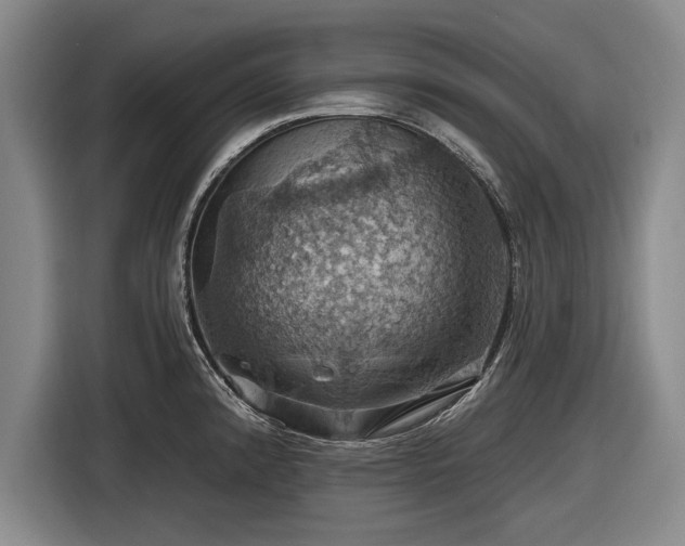 X0000116491192200912161312